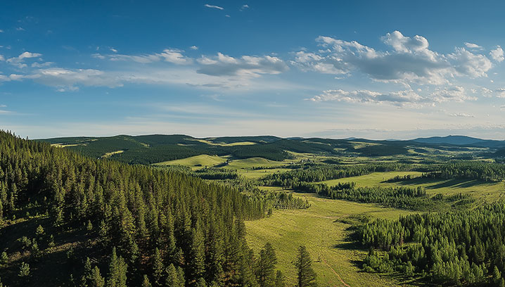 Weite, grüne Landschaft mit Wäldern und Hügeln unter einem strahlend blauen Himmel, friedliche und harmonische Stimmung.