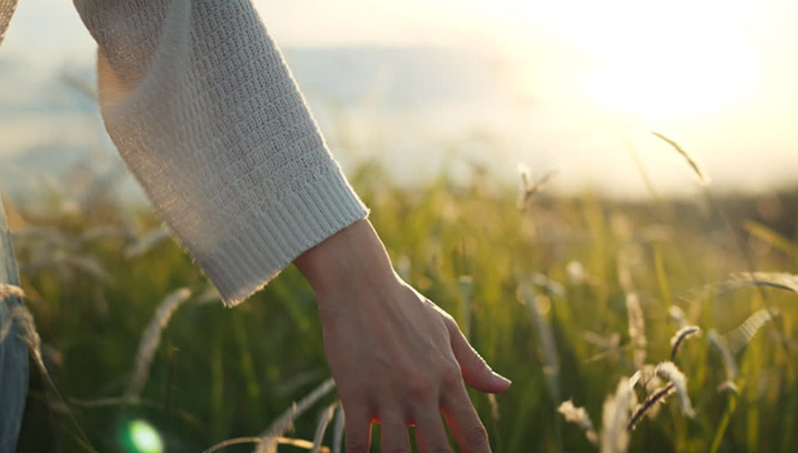 Eine Hand streicht sanft durch hohes Gras bei Sonnenuntergang, vermittelt das Gefühl von Freiheit und Ruhe.