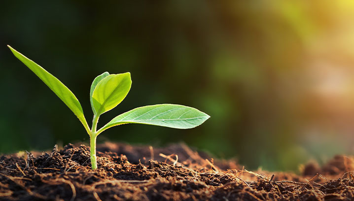 Nachhaltigkeit: Funk gehört zu „Deutschlands Besten“