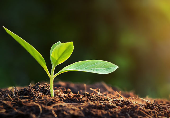 Nachhaltigkeit: Funk gehört zu „Deutschlands Besten“