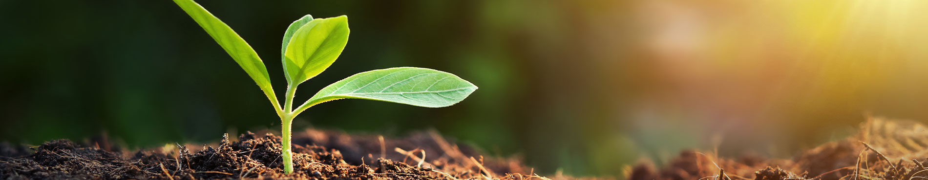 Nachhaltigkeit: Funk gehört zu „Deutschlands Besten“