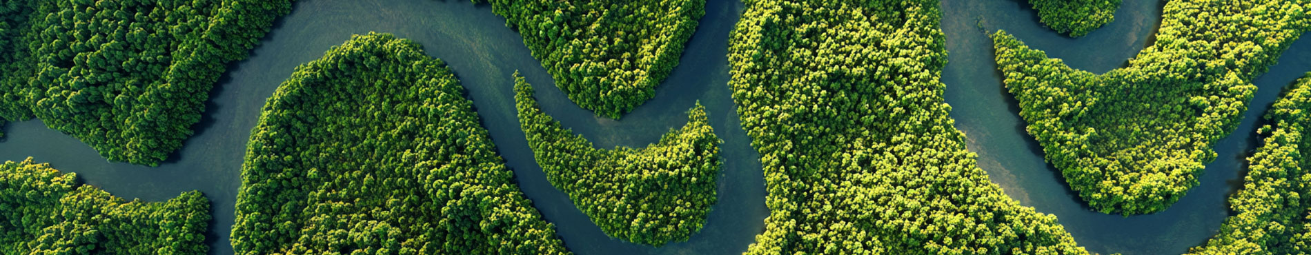 Luftaufnahme von kurvenreichen Flüssen, umgeben von üppigem, grünem Wald, die Ruhe und Naturverbundenheit ausstrahlen und verdeutlichen, warum Unternehmen die EUDR umsetzen müssen.