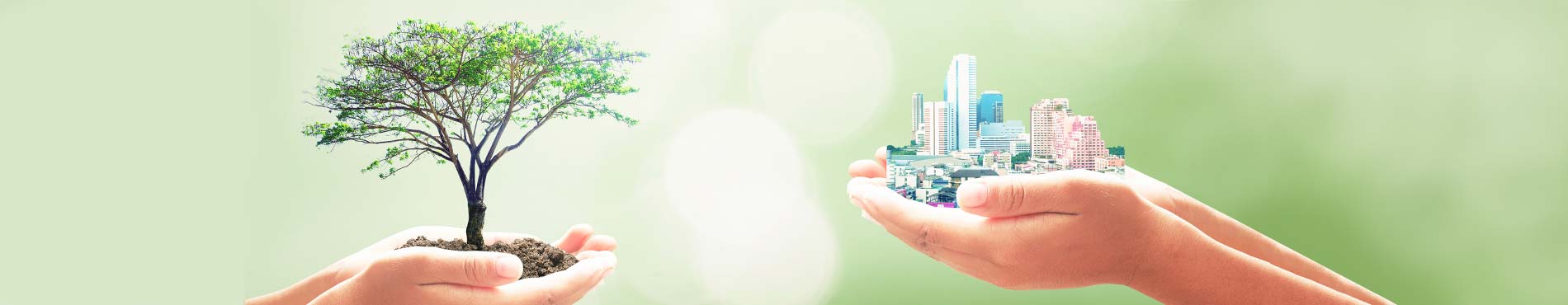 Zwei menschliche Hände, die einen Baum und eine Stadt vor einem Naturhintergrund halten
