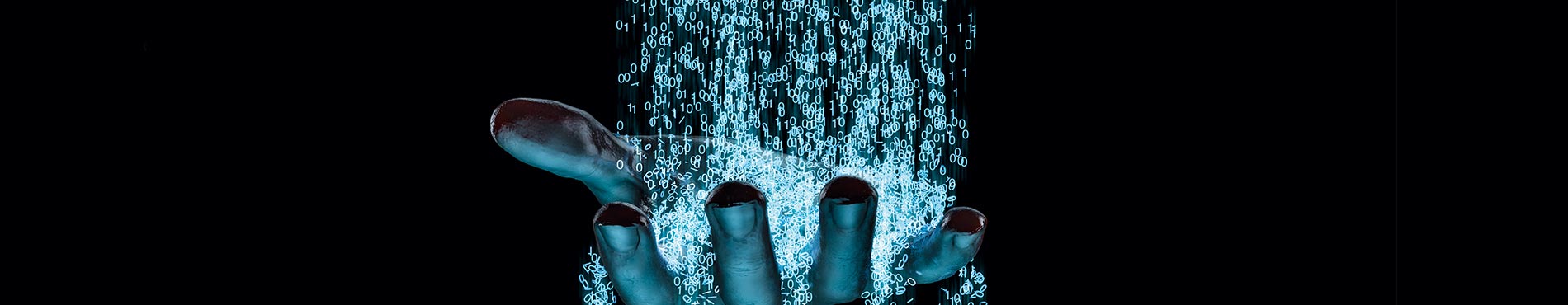 Im Griff der Black Hats