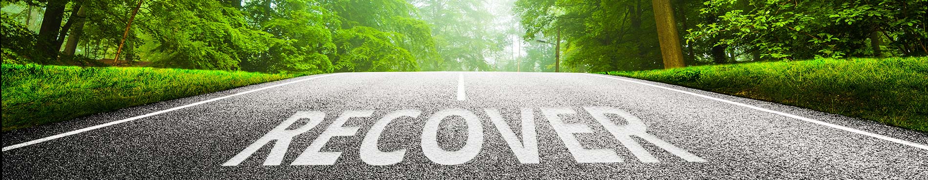 Eine Straße mit dem Schriftzug "Recover", die in einen grünen Wald führt