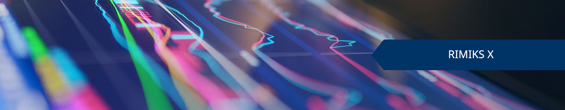 Farbige Datenvisualisierungen zeigen dynamische Trends der Risikomanagement-Software RIMIKS X von Funk