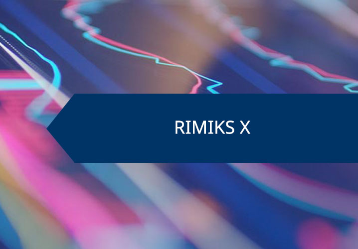 Farbige Datenvisualisierungen zeigen dynamische Trends der Risikomanagement-Software RIMIKS X von Funk
